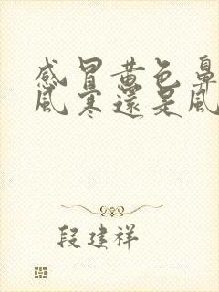 感冒黄色鼻涕是风寒还是风热