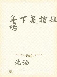 年下是指姐弟恋吗