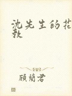 沈先生的花式调教