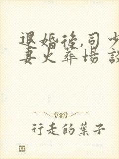 退婚后,司少追妻火葬场 谈栖