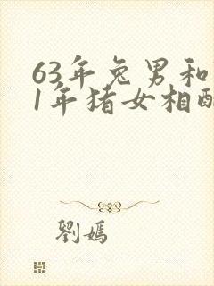 63年兔男和71年猪女相配吗