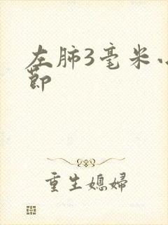 左肺3毫米小结节