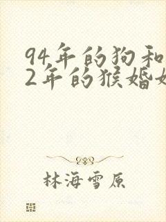 94年的狗和92年的猴婚姻怎么样