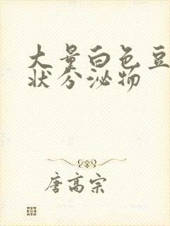 大量白色豆腐渣状分泌物封面