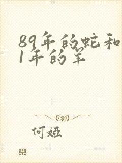 89年的蛇和91年的羊封面