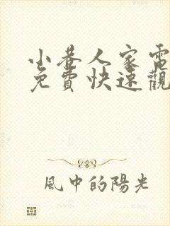 小巷人家电视剧免费快速观看