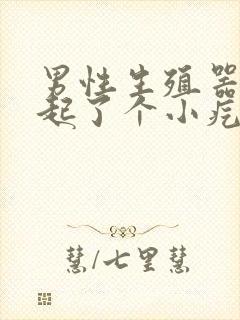 男性生殖器根部起了个小疙瘩