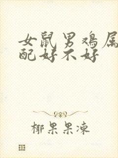 女鼠男鸡属相婚配好不好