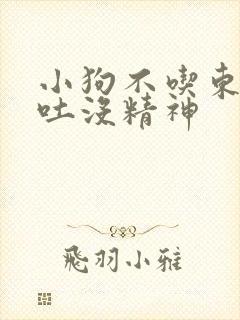 小狗不吃东西呕吐没精神