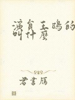 演员王鸥的丈夫叫什么