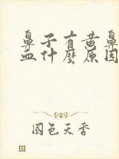 鼻子有黄鼻涕带血什么原因