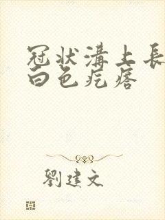 冠状沟上长一排白色疙瘩