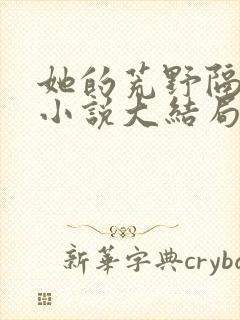 她的荒野隔着梦小说大结局