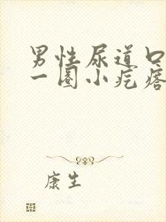 男性尿道口长了一圈小疙瘩