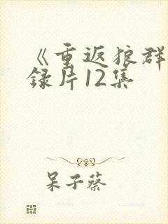 《重返狼群》纪录片12集