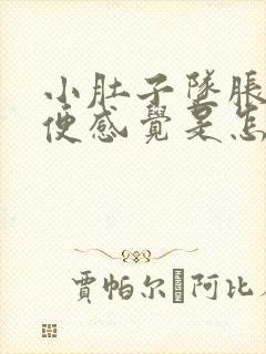 小肚子坠胀有排便感觉是怎么回事