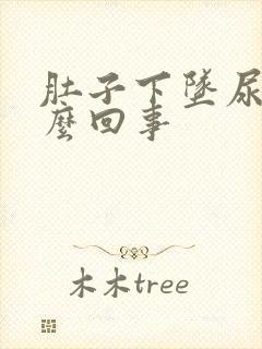 肚子下坠尿疼怎么回事