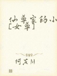 仙尊家的小夫郎[女尊]封面