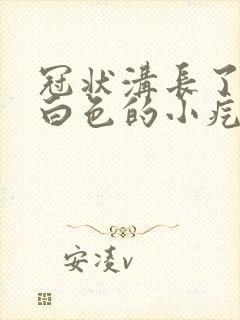 冠状沟长了一圈白色的小疙瘩