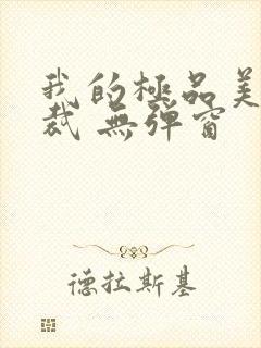 我的极品美女总裁 无弹窗