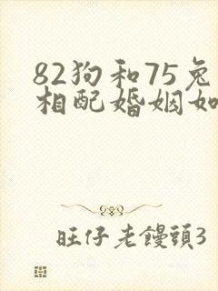 82狗和75兔相配婚姻如何