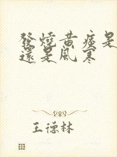 发烧黄痰是风热还是风寒封面