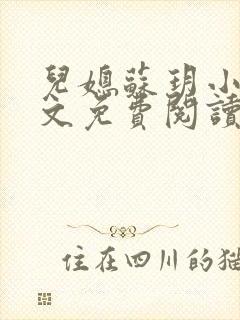 儿媳苏玥小说全文免费阅读封面