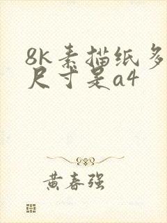 8k素描纸多大尺寸是a4