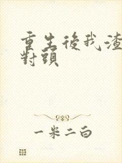 重生后我渣了死对头