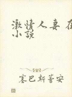 激情人妻 在线小说