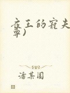 夜王的宠夫(女尊)