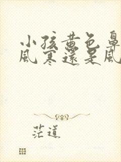 小孩黄色鼻涕是风寒还是风热