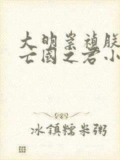 大明崇祯朕不当亡国之君小说