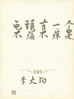 龟头有一个红斑不痛不痒是怎么回事封面