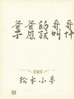 爸爸的哥哥的儿子应该叫什么封面