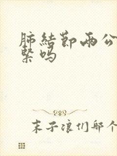 肺结节两公分要紧吗