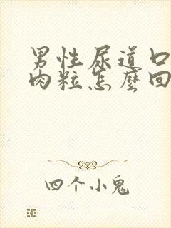 男性尿道口有小肉粒怎么回事