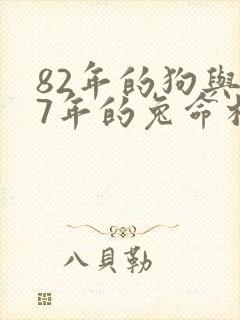 82年的狗与87年的兔命相配吗