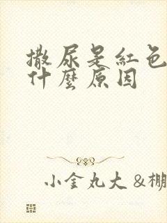 撒尿是红色的是什么原因