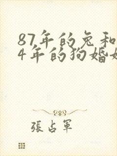 87年的兔和94年的狗婚姻相配吗封面