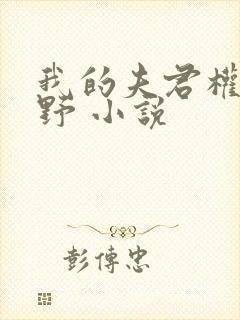 我的夫君权倾朝野 小说