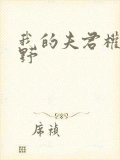 我的夫君权倾朝野封面