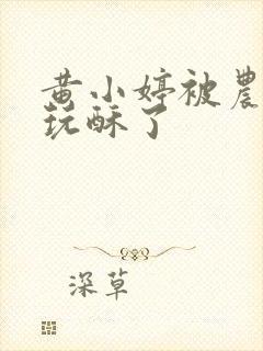 黄小婷被农民工玩酥了封面