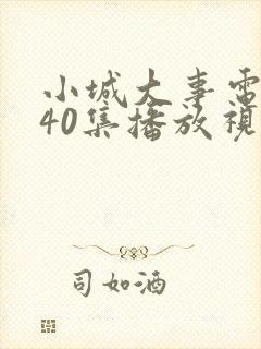 小城大事电视剧40集播放视频