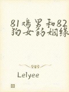 81鸡男和82狗女的姻缘封面
