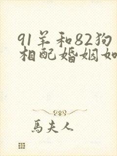 91羊和82狗相配婚姻如何