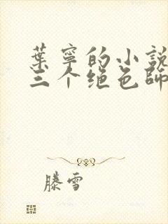 叶宁的小说我有三个绝色师父