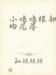 小鸡鸡根部有小肉疙瘩