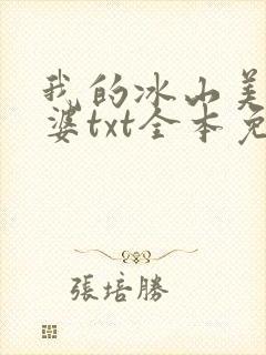 我的冰山美女老婆txt全本免费封面