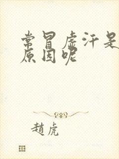 常冒虚汗是什么原因呢封面